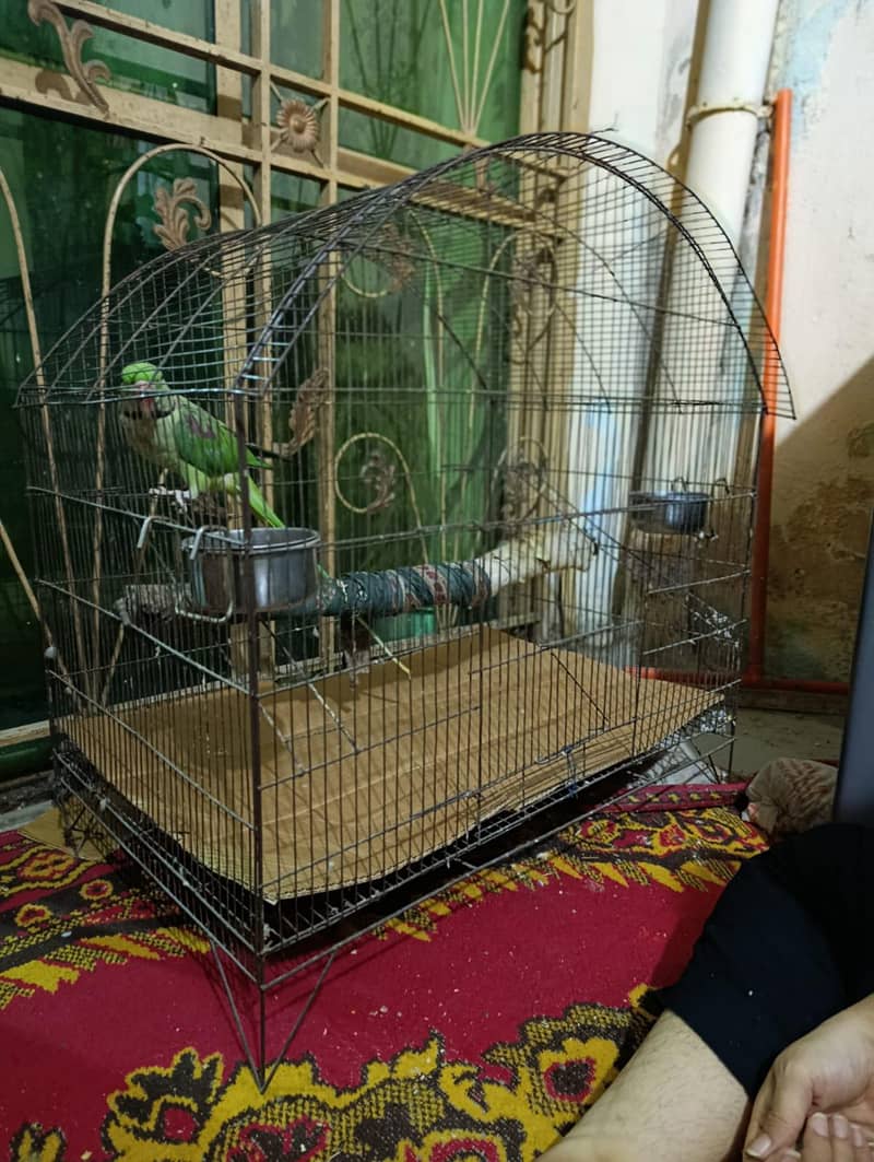 without parrot 2