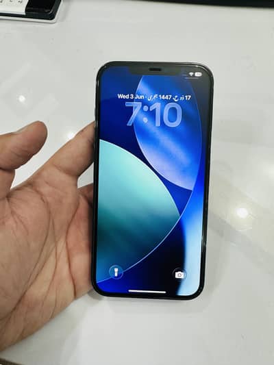 Apple iPhone 12 Pro Max