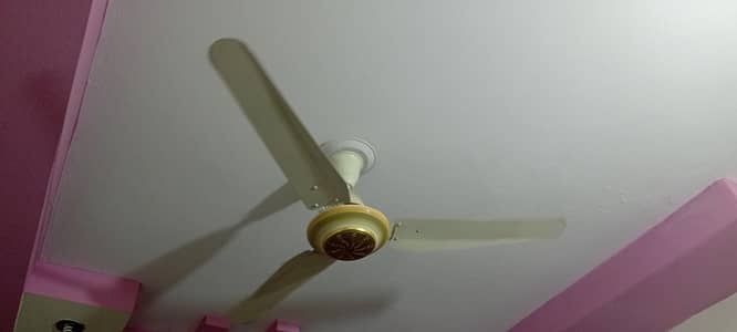 super aia fan puer coper 1 year use warinty availabl