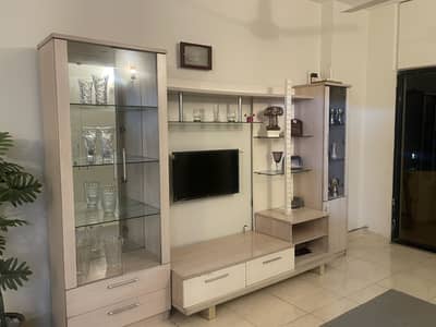 TV wall unit