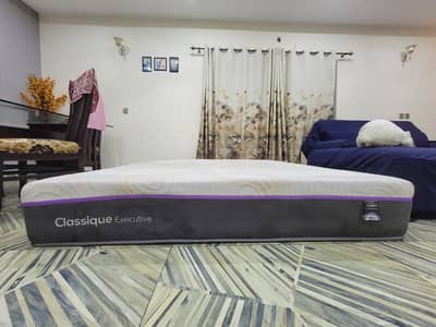 Master Celeste Classique Executive 2 in 1
