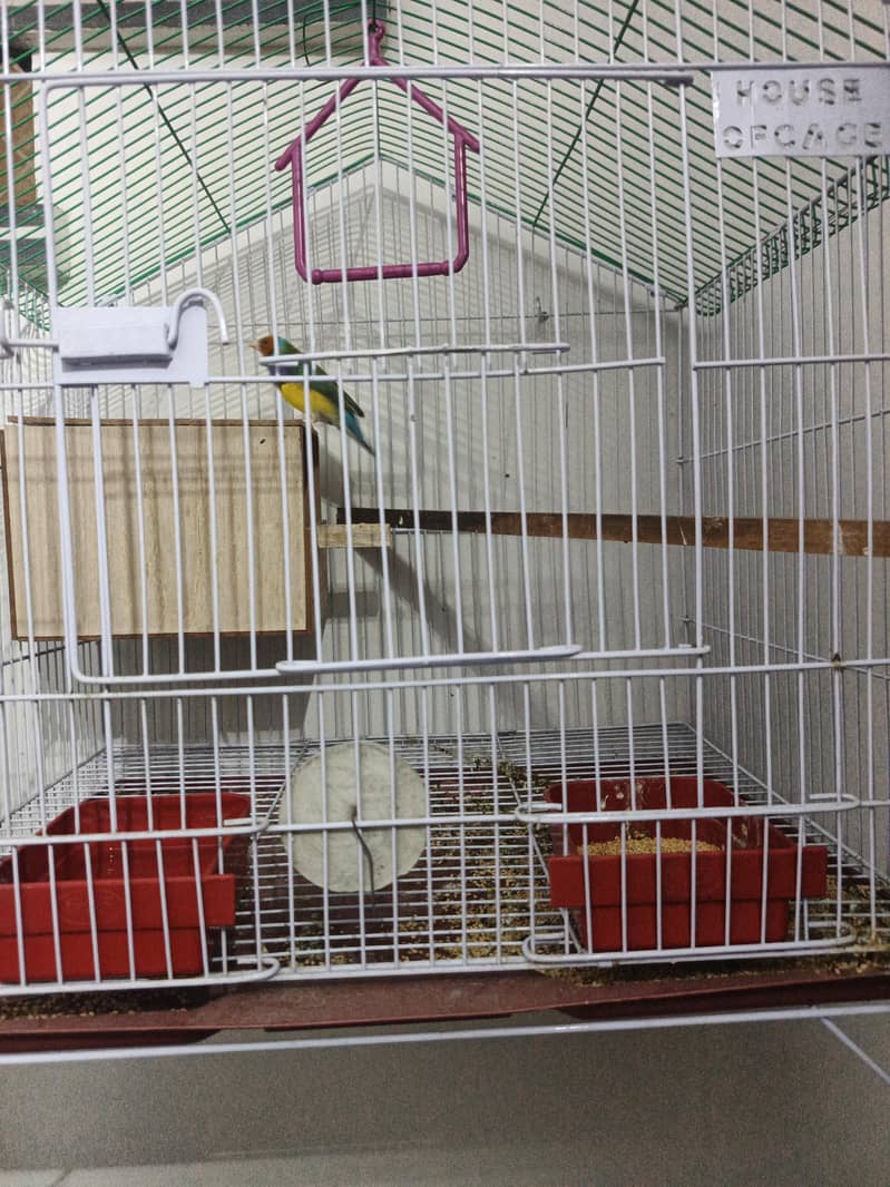 finch 0