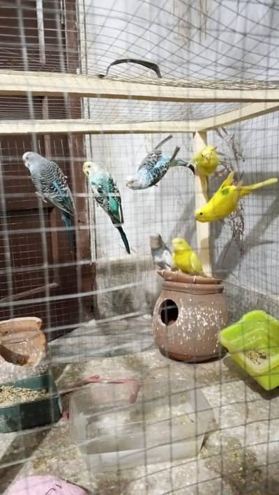 urgent sale