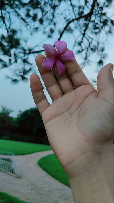 Xiaomi Poco X3 Pro