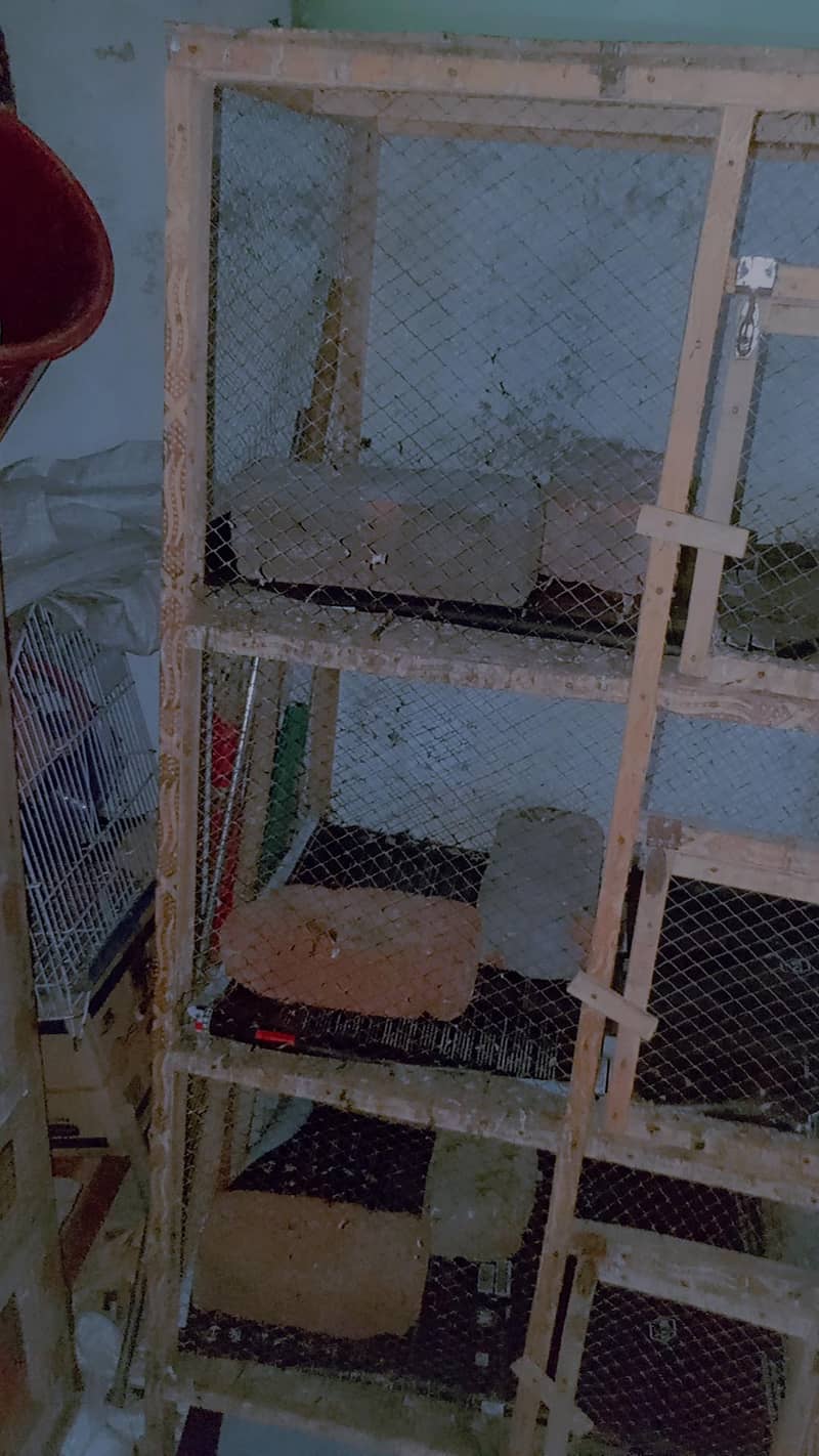 2 cage 0