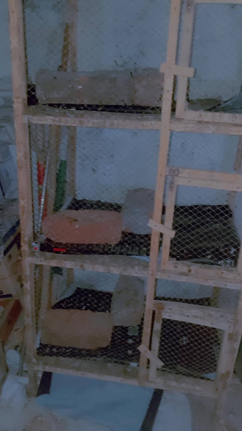 2 cage 1
