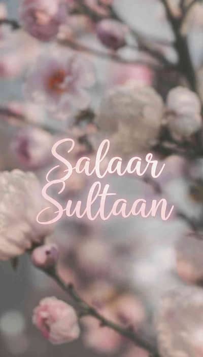 Ayesha Salaar 