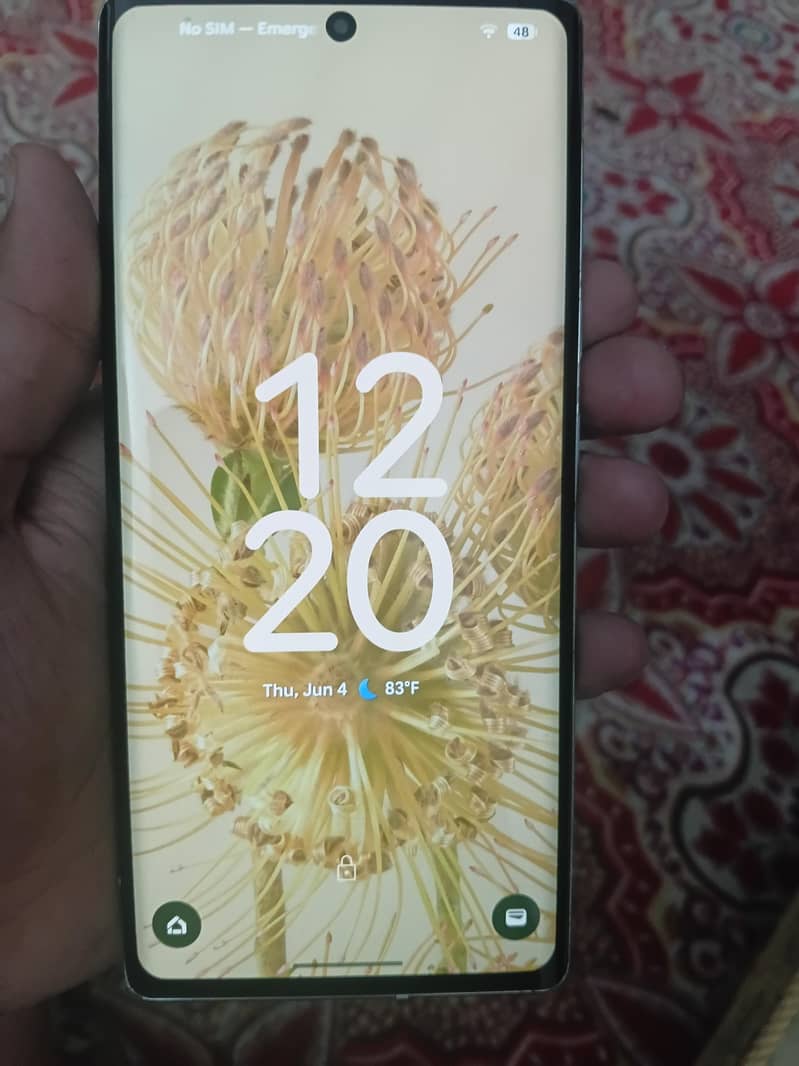Google Pixel 6 Pro 1