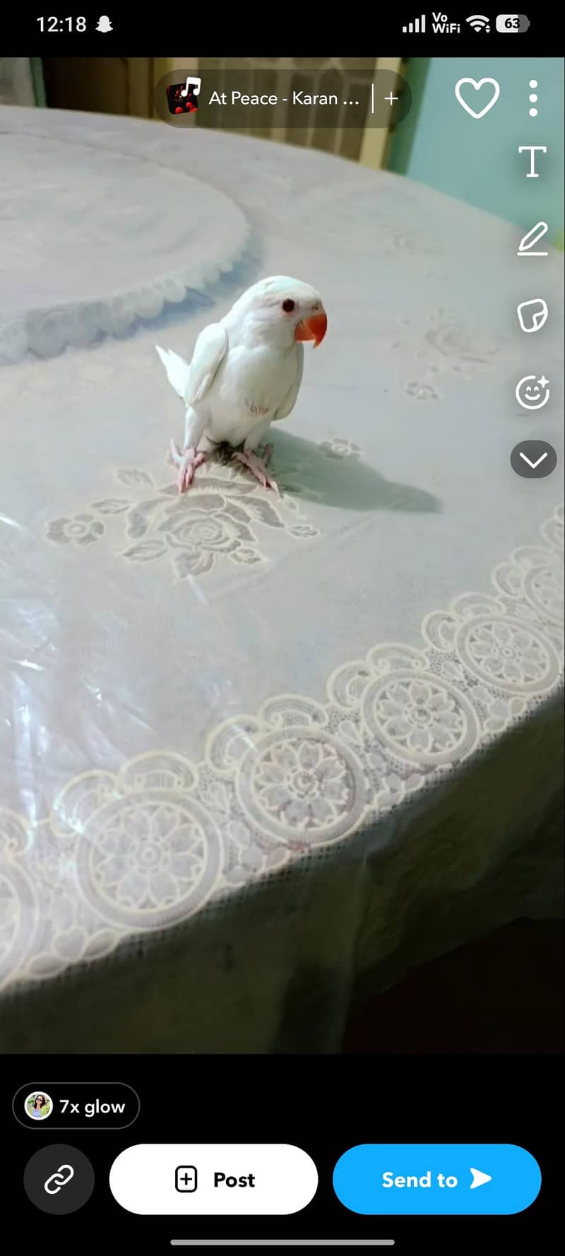 parrots 0