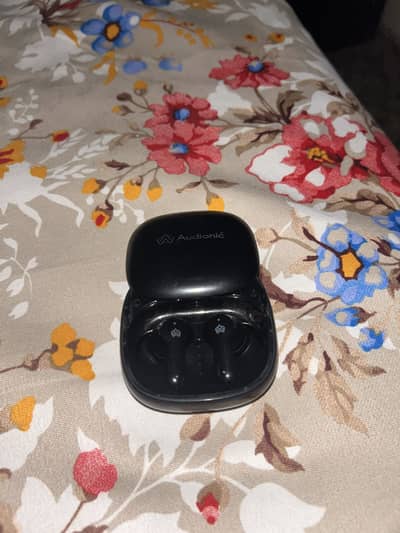Airbud 550 Slide Earbuds