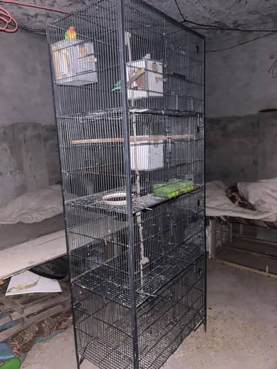 love bird or birds cage sale