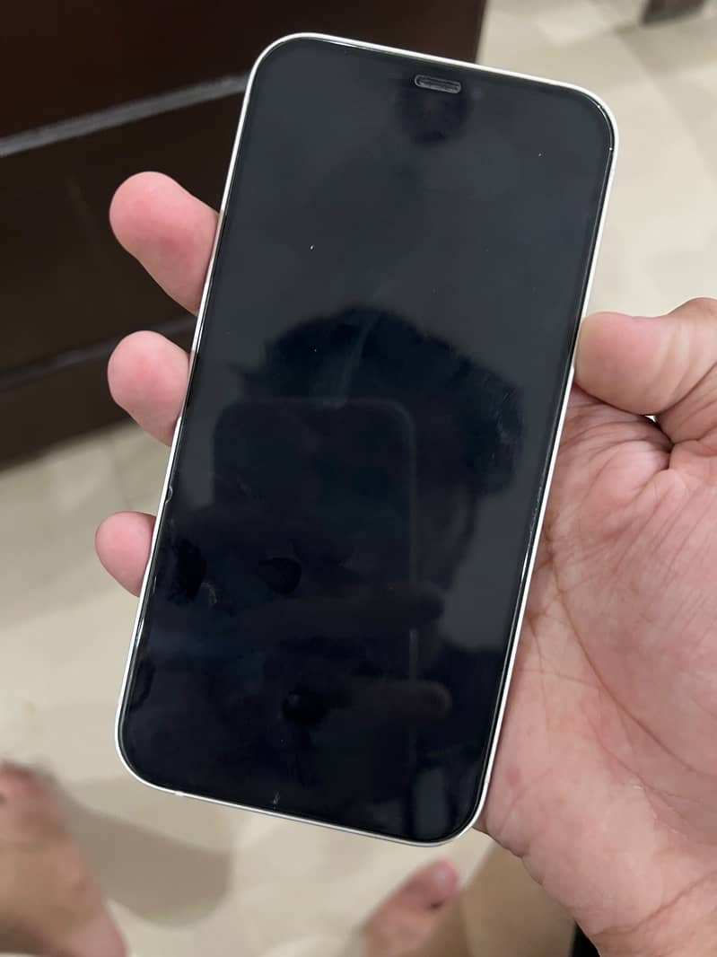 Apple iPhone 12 1
