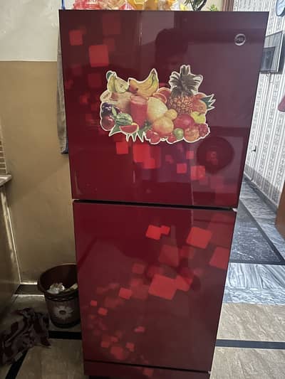 FRIDGE Pel medium 03044034385