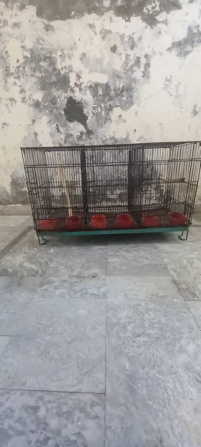 Iron cages