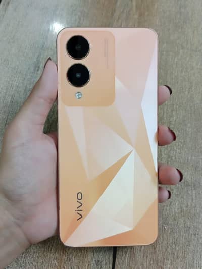 Vivo Y17