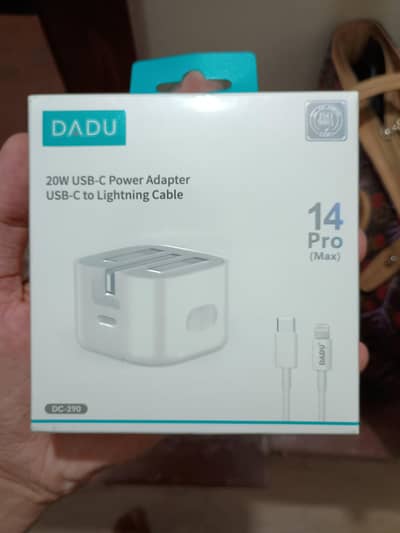 iPhone original charger