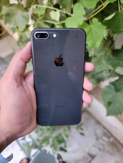 Iphone 8 plus Bypass