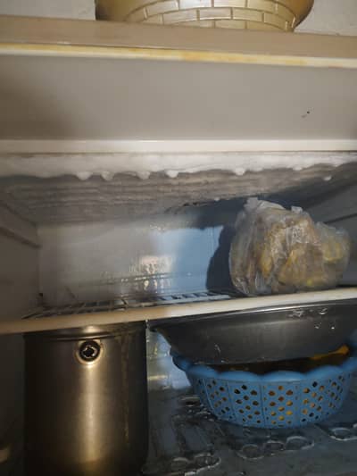  Double Door Fridge for Sale