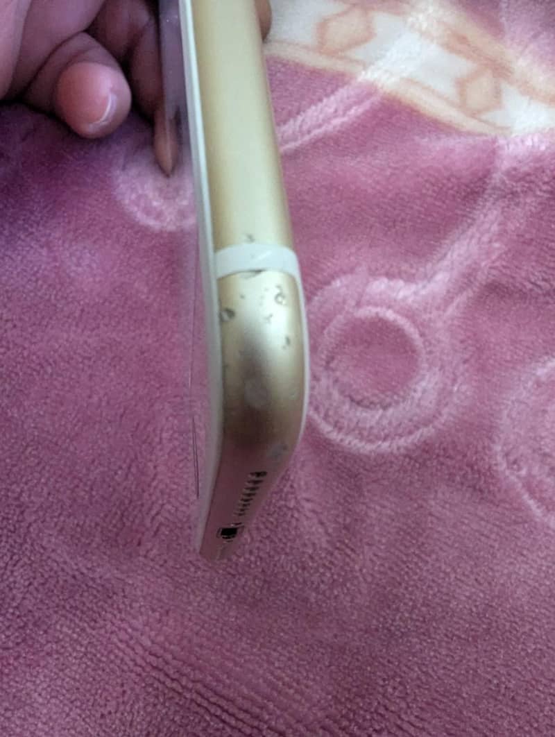 Apple iPhone 7 Plus 1