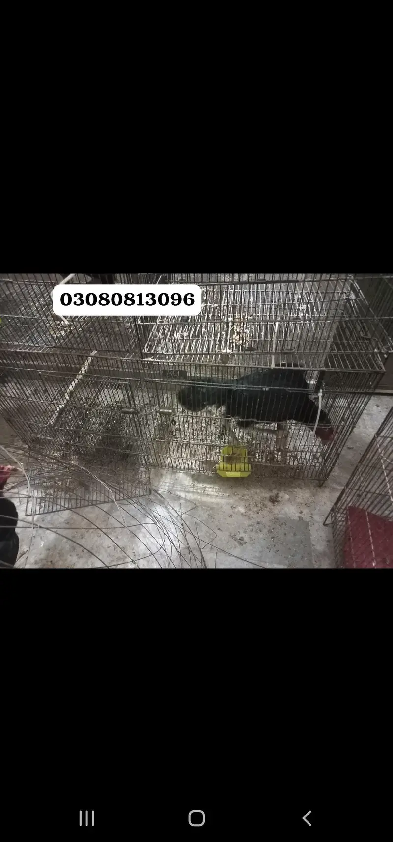 cage different size available  read description — photo 2