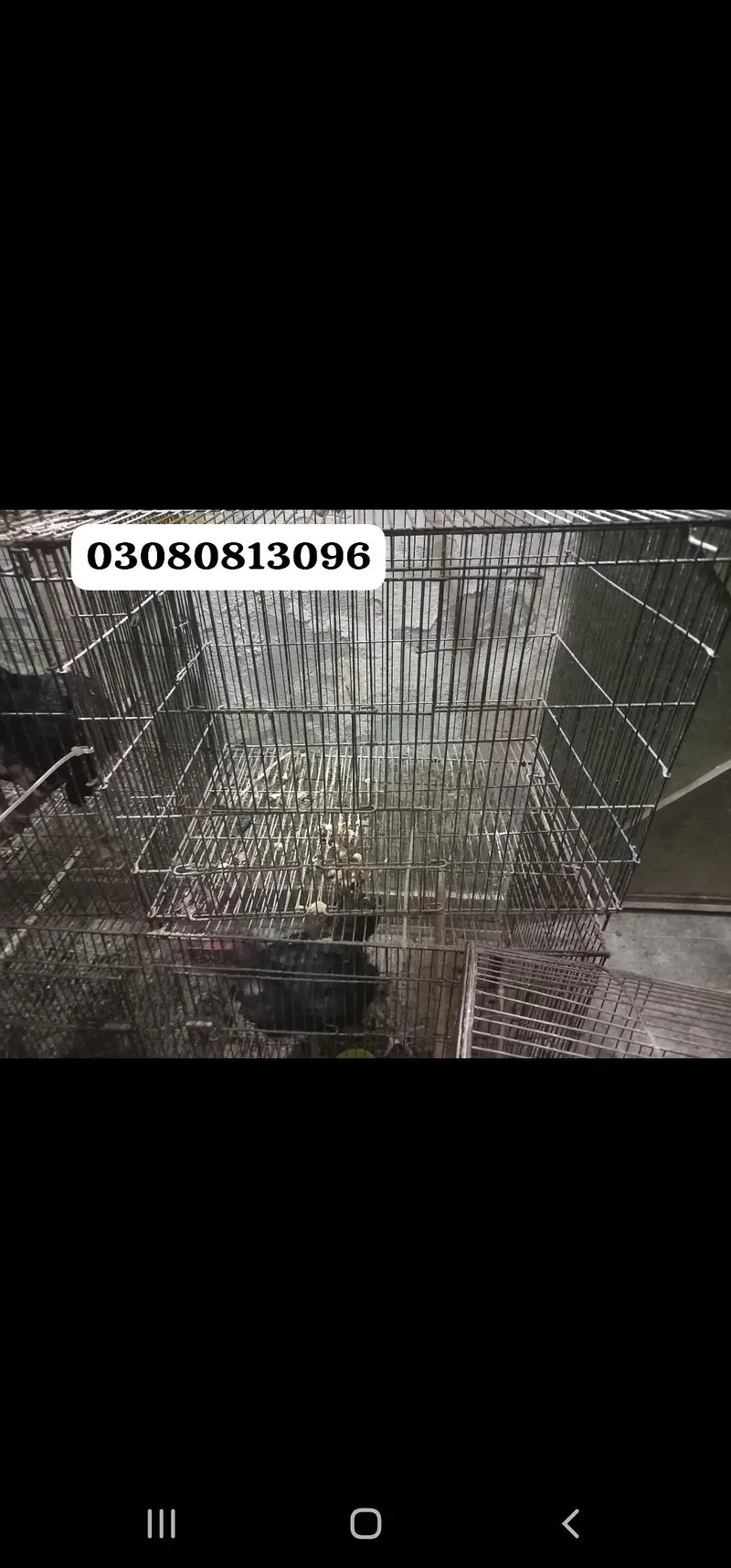 cage different size available  read description — photo 3