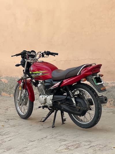 ybz  19 model  in ryk