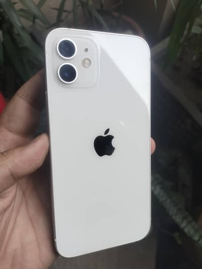 Apple iPhone 12