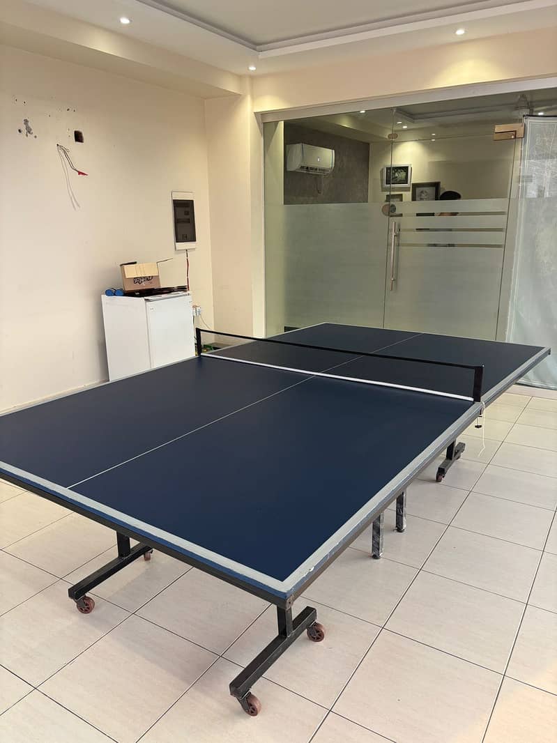Table tennis table 1