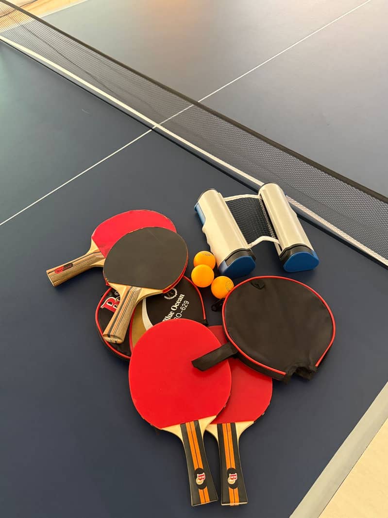 Table tennis table 3