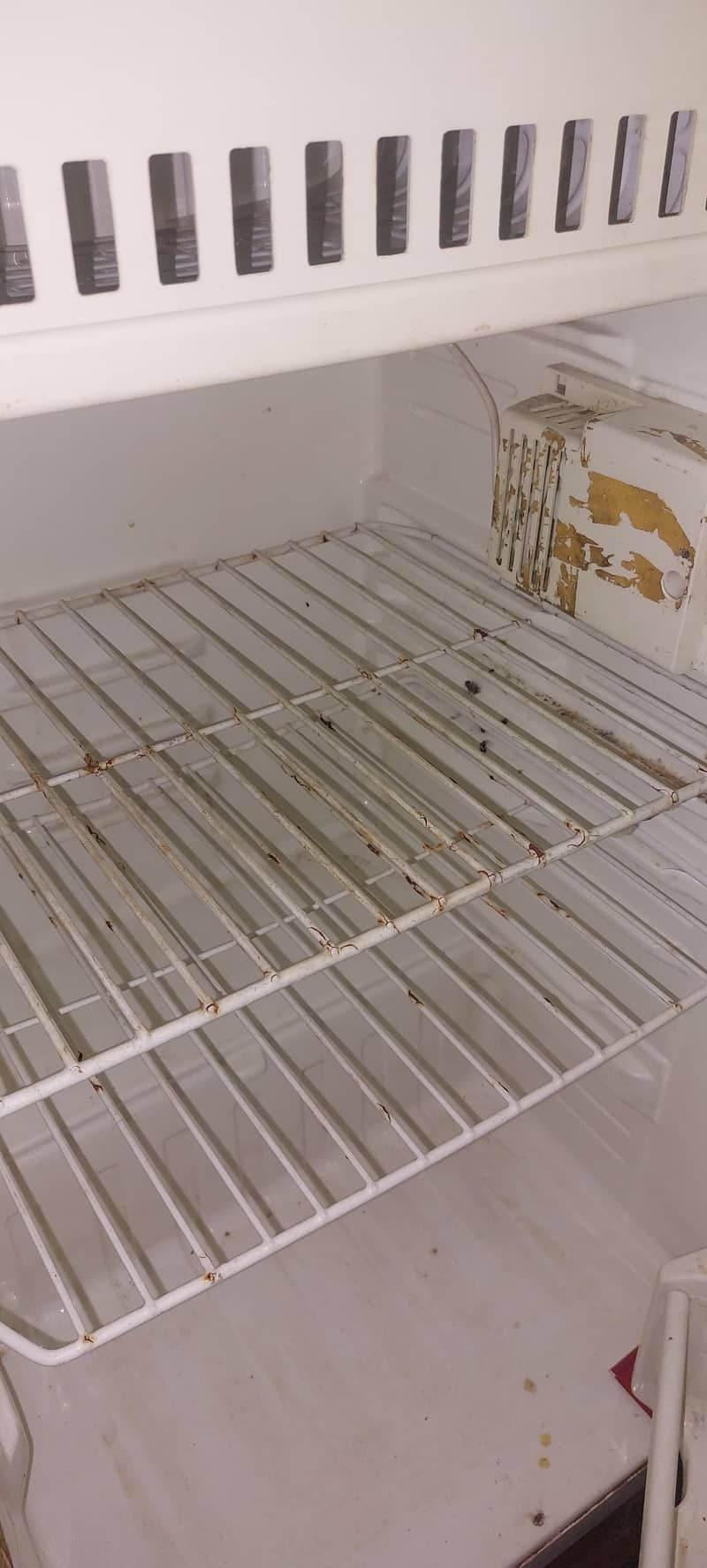 mini fridge 2