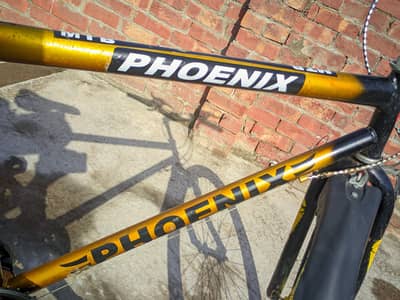 phonix Bycycle only 6 month used