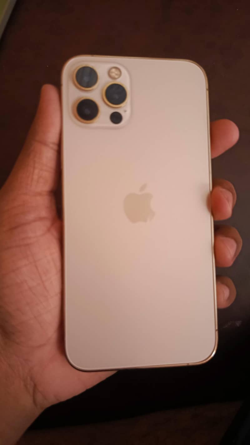 Apple iPhone 12 Pro 1