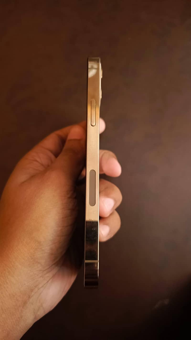 Apple iPhone 12 Pro 2