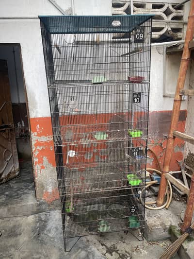 Parrots foldable cages