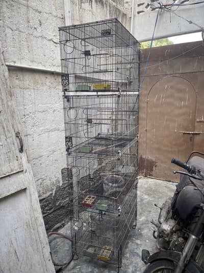 Parrots foldable cages