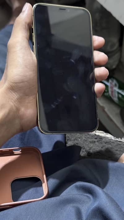Apple iPhone 12 Pro