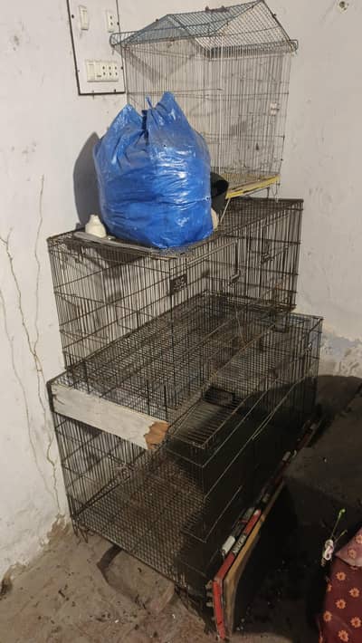 bardes cages