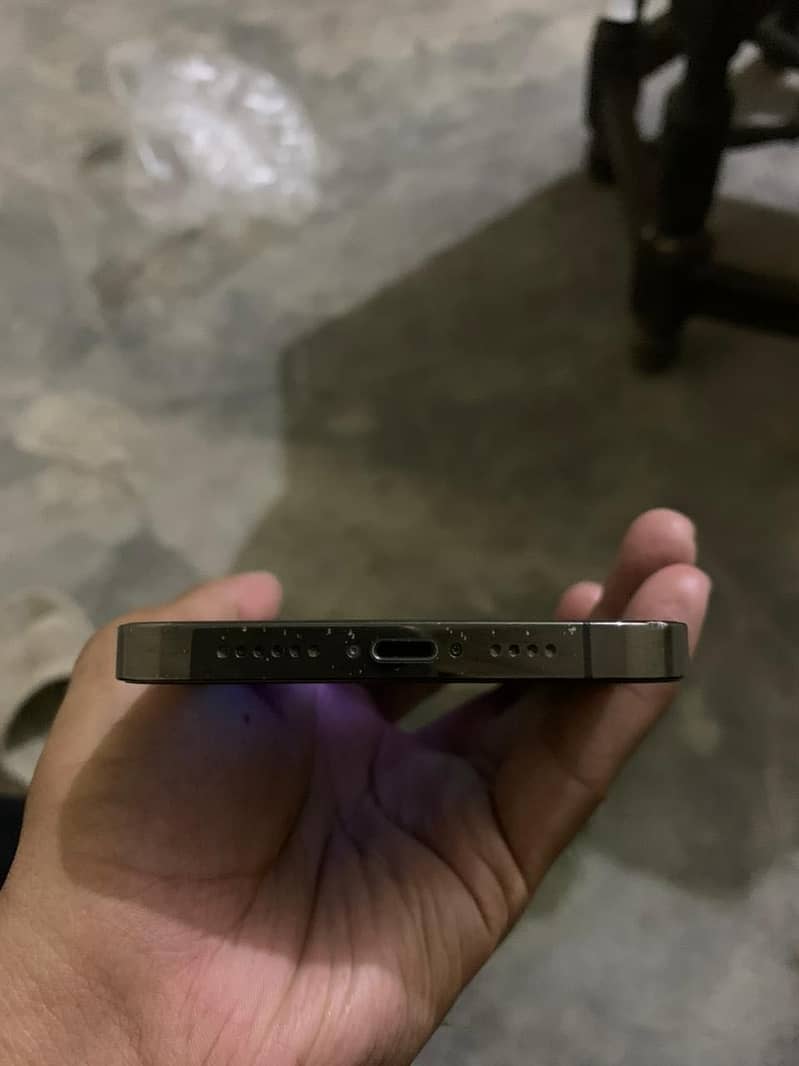 Apple iPhone 13 Pro Max 1