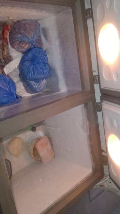 deep freezer hiara inverter