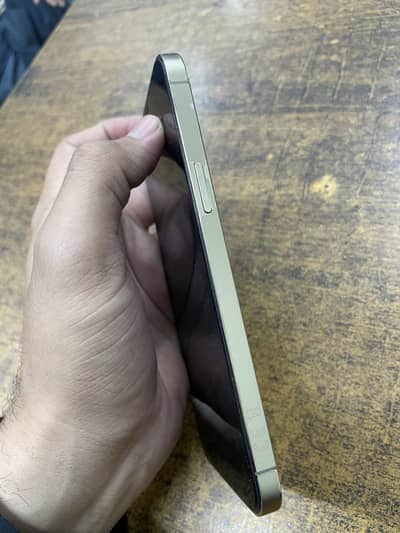 Apple iPhone 12 Pro Max Pta Approve (512) GB Golden