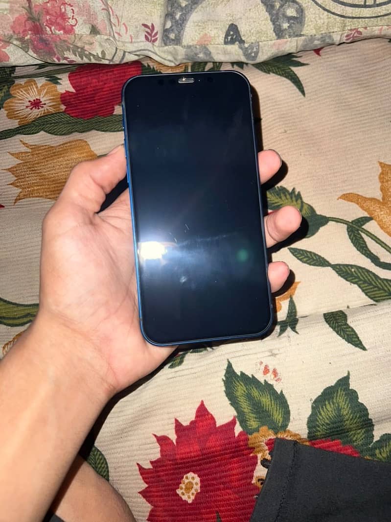 Apple iPhone 12 2