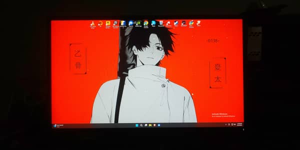 60hz 24inch dell monitor