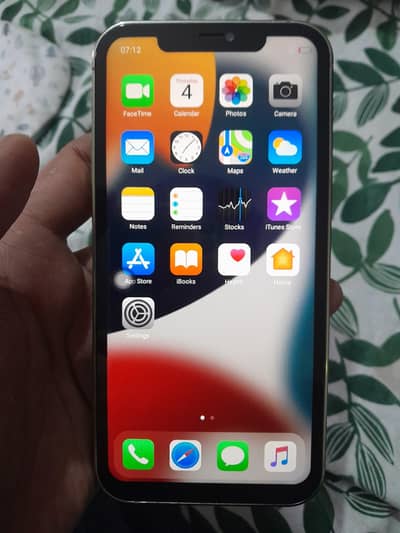 Apple iPhone 12 Pro Max