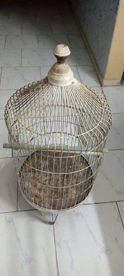gray parrot cage v good condition
