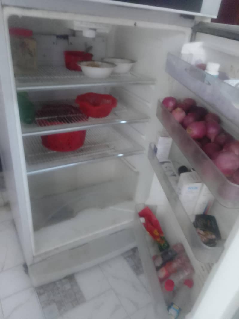 fridge 5