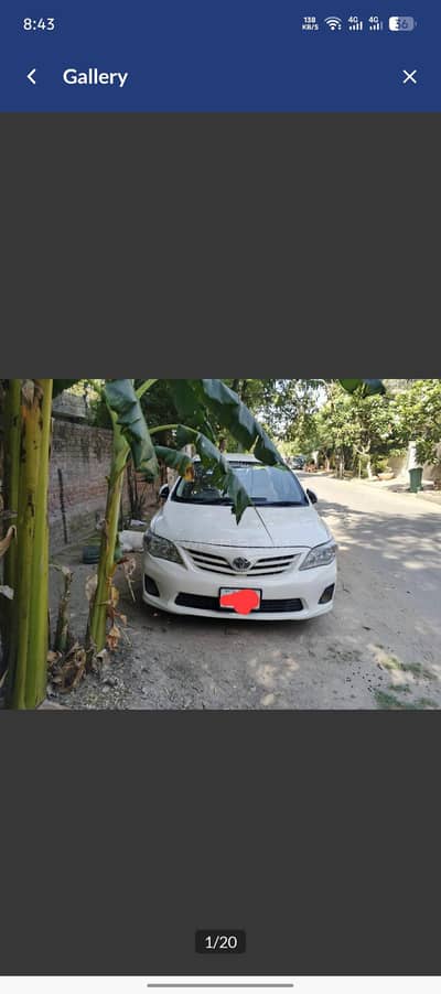 Toyota Corolla XLI 2009