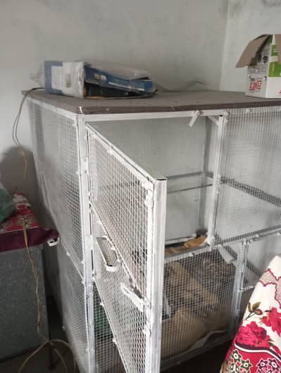 parrot cage