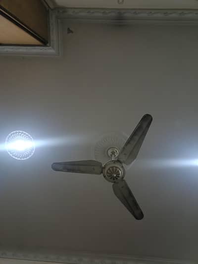 Breeze Cooling Fan