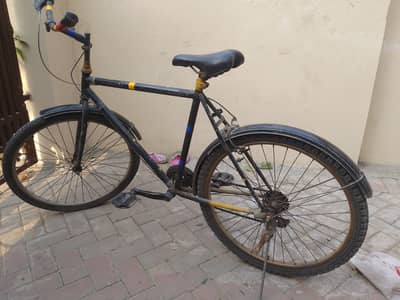 GIFT!! 2 cycles in 1 price!!