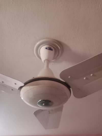 PAK FAN Original (AC) 4 Fan Available For sale